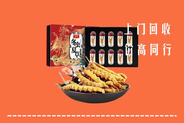 上海市杨浦回收虫草